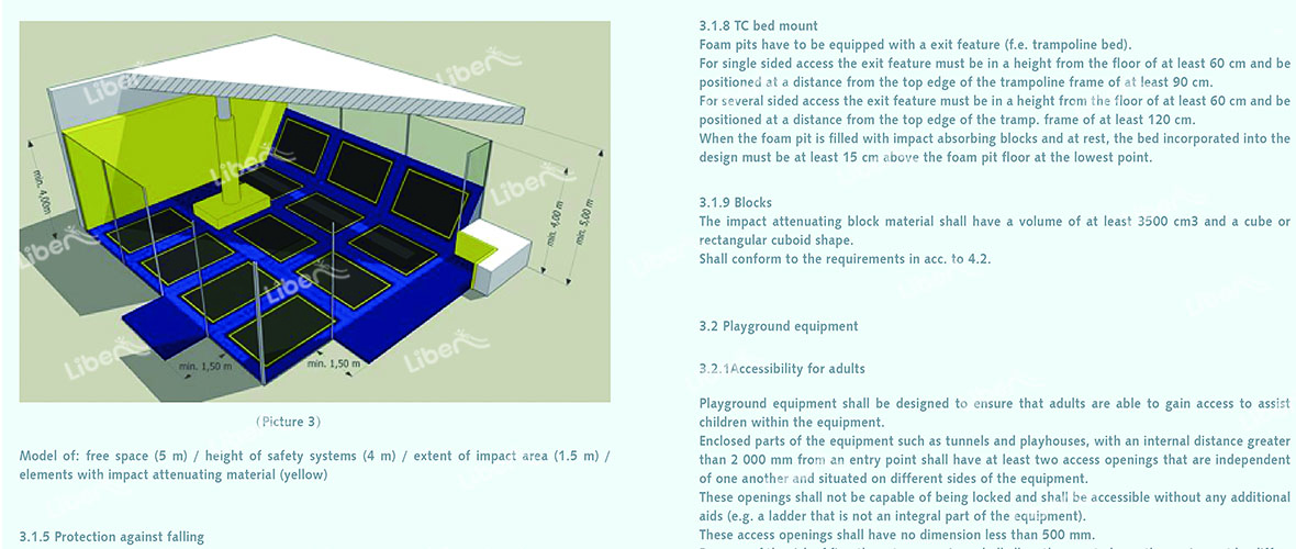 Trampoline Park Safety Standard
