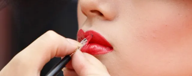 makeup lip brush