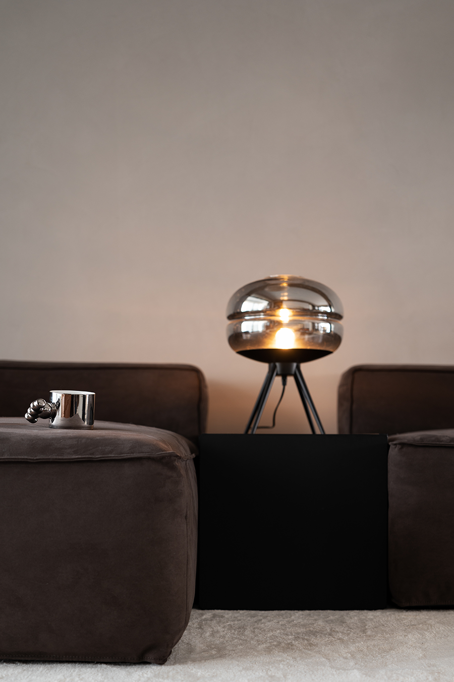the floor lamp