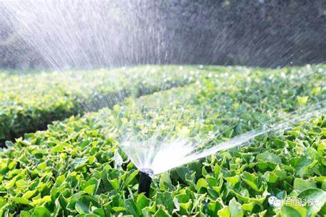 Pvc irrigation pipe fittings of G AND N FORTUNE LIMITED, for hydroponic pipes.