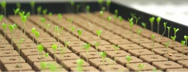 G AND N FORTUNE LIMITED offers hydroponic systems for hydroponics.