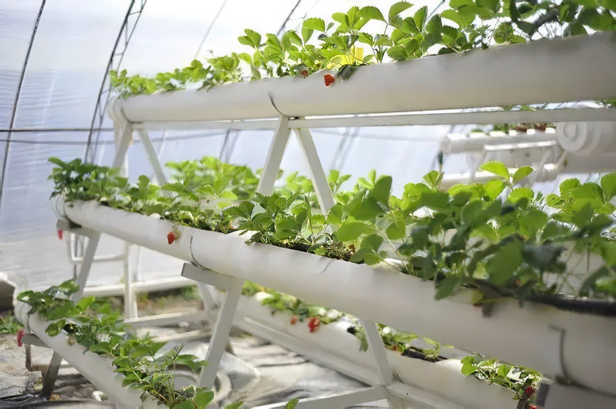 Indoor hydroponics growing system by G AND N FORTUNE LIMITED.