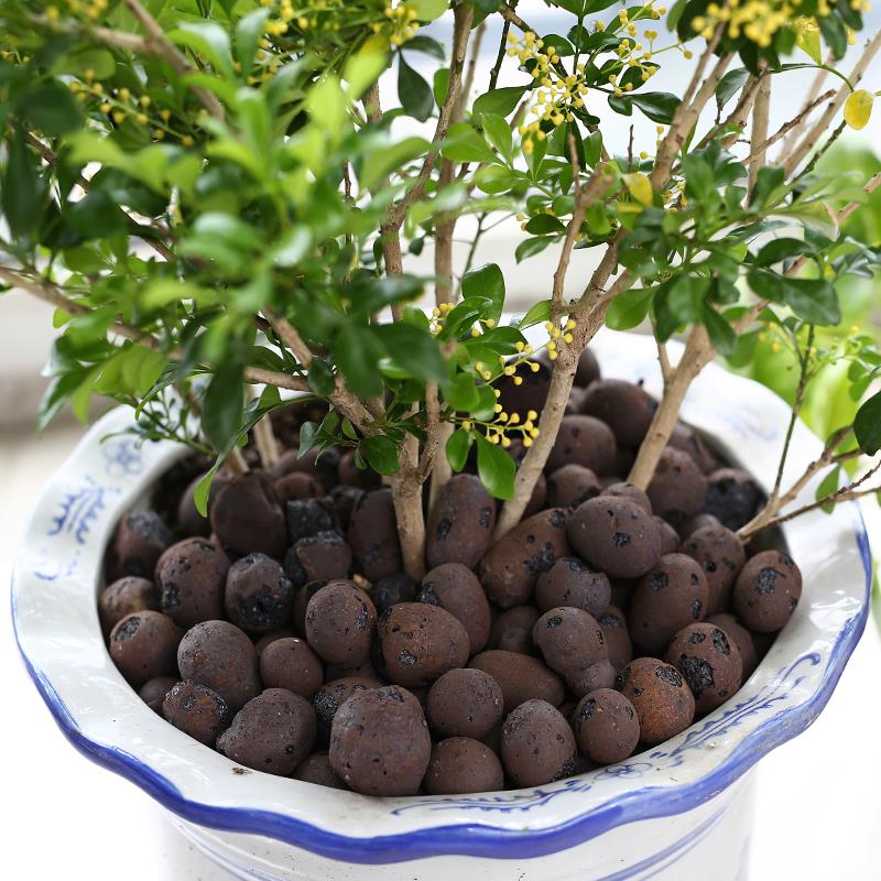 G AND N FORTUNE LIMITED: grow it clay pebbles for hydro.