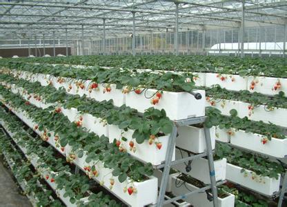Hydroponic growing systems from G AND N FORTUNE LIMITED.