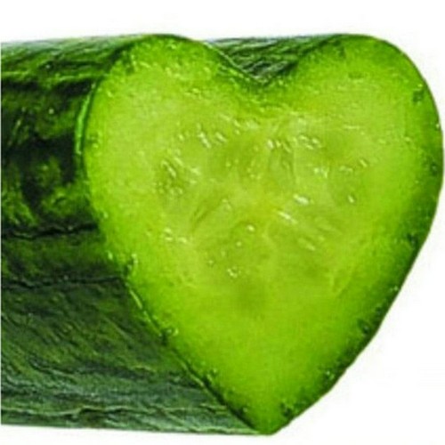 G AND N FORTUNE LIMITED's hydroponic equipment keeps cucumber molds away.