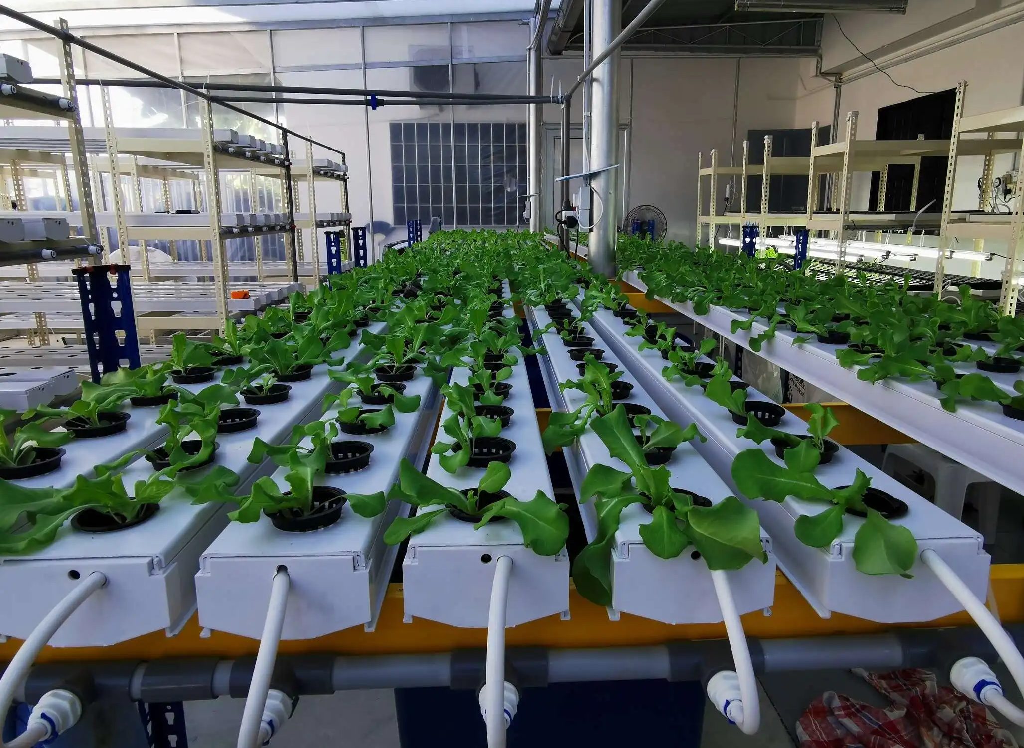 Commercial hydroponic systems by G AND N FORTUNE LIMITED.