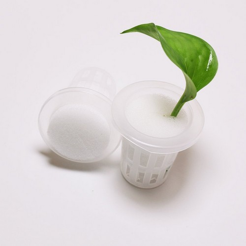 G AND N FORTUNE LIMITED's miracle grow sponges for hydro.