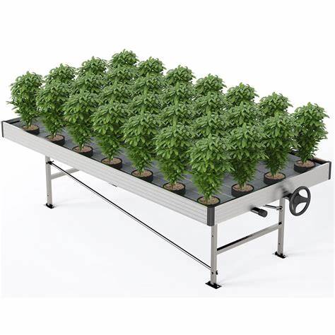G AND N FORTUNE LIMITED's ebb and flow tray with lid for hydro.