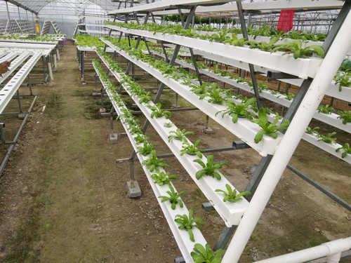 G AND N FORTUNE LIMITED's grow bags watering system for hydroponics.