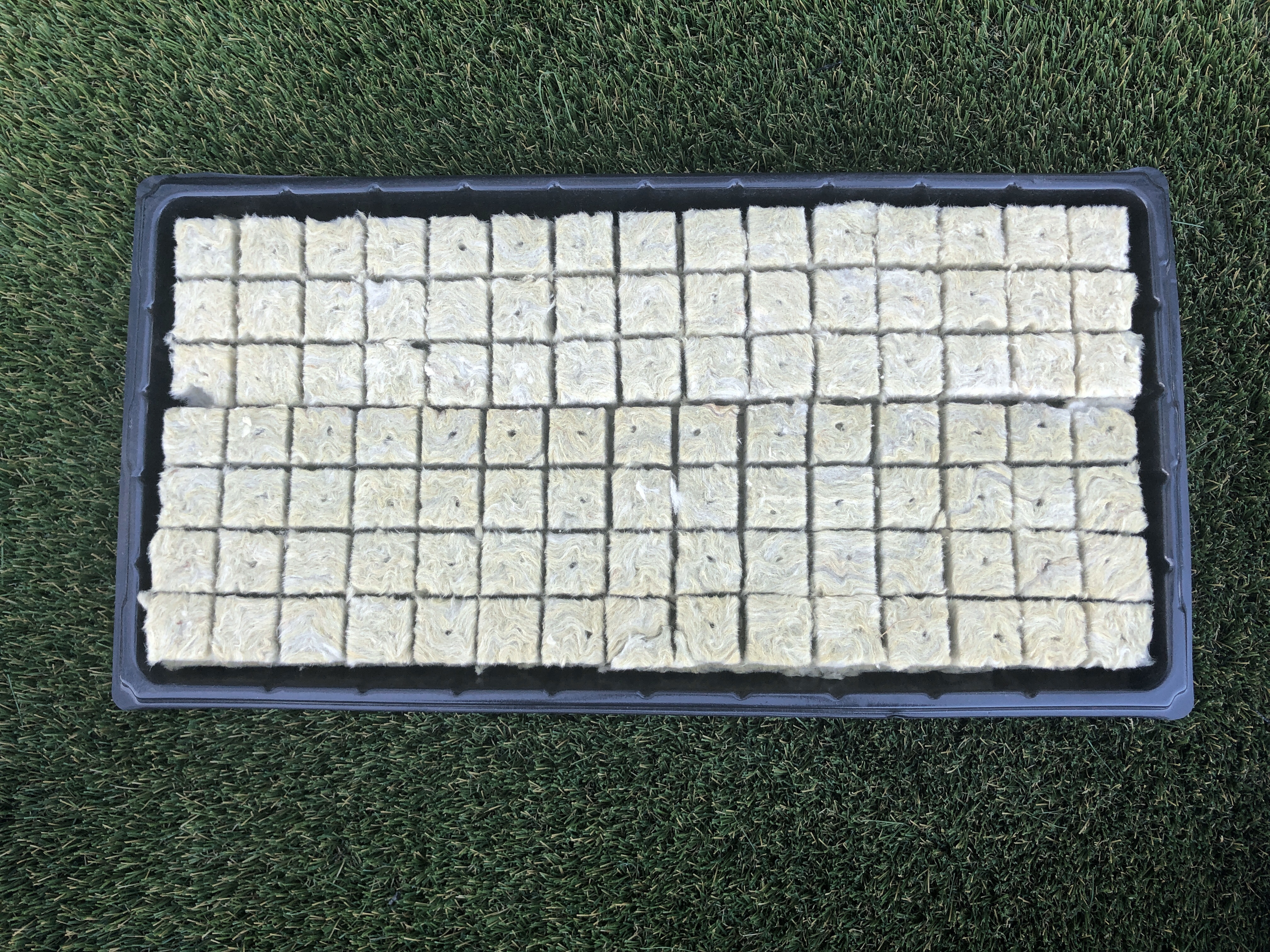 1.G AND N FORTUNE LIMITED has hydroponic gardens for hydroponics.