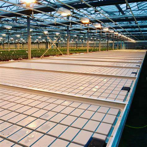 G AND N FORTUNE LIMITED's cannabis ebb and flow trays: specialized hydroponic gear.