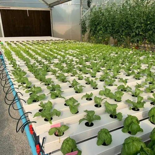 Smart vertical hydroponics system by G AND N FORTUNE LIMITED