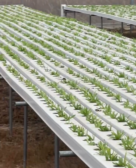 Hydroponic system kit by G AND N FORTUNE LIMITED.
