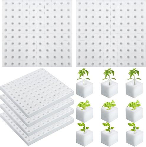 G AND N FORTUNE LIMITED's grow sponges plants in hydro.