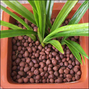 G AND N FORTUNE LIMITED: grow it clay pebbles for hydro.