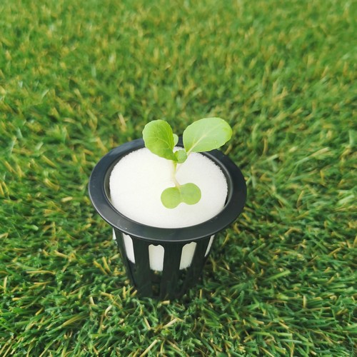 G AND N FORTUNE LIMITED's pot for plants in hydroponics.