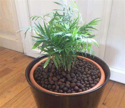 G AND N FORTUNE LIMITED: clay pebbles for plants near me.