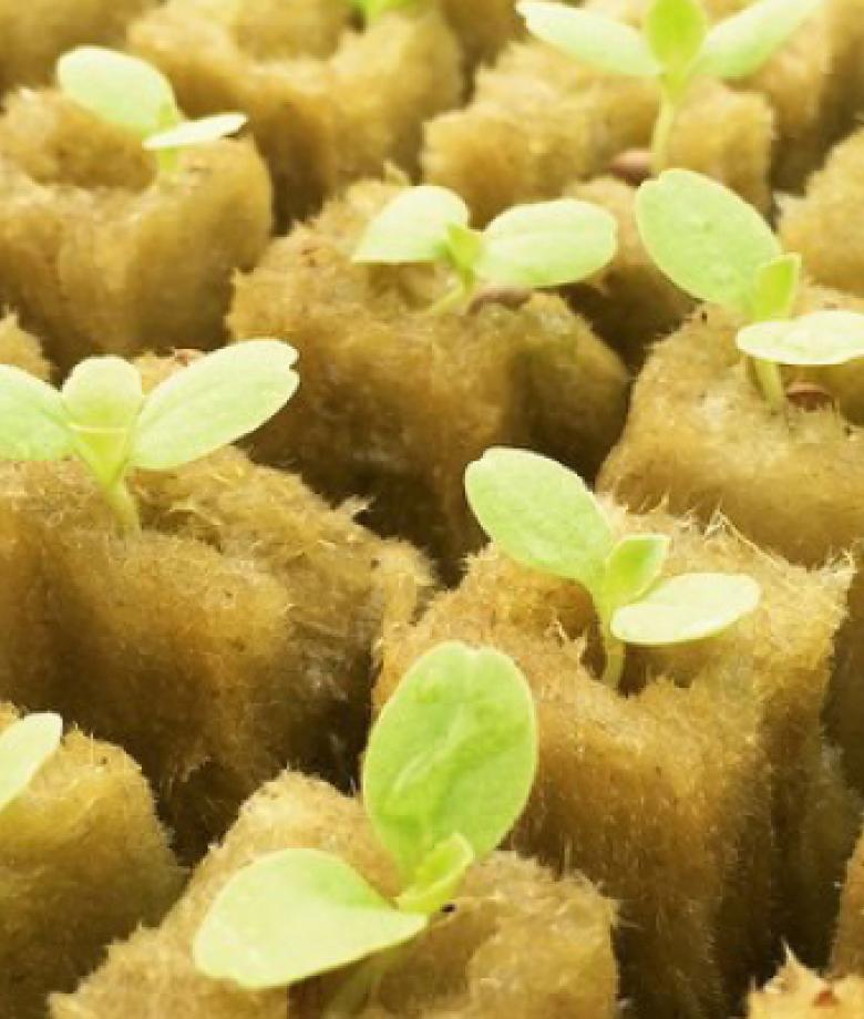1.G AND N FORTUNE LIMITED knows hydroponic store near me needs.
