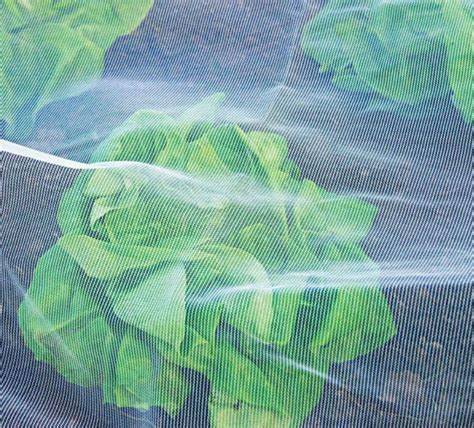 G AND N FORTUNE LIMITED's anti insect net suppliers for hydro.
