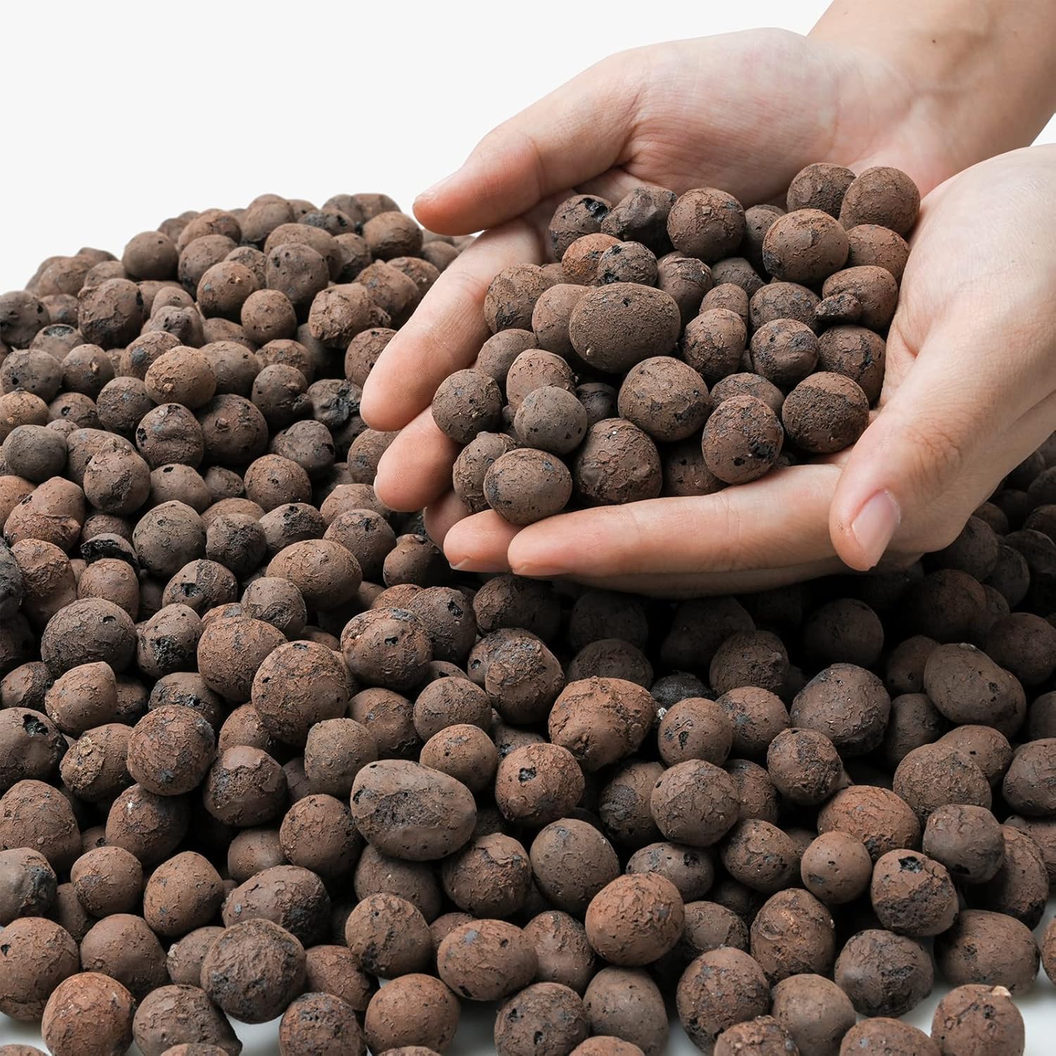 G AND N FORTUNE LIMITED: hydroponic stores for hydro.