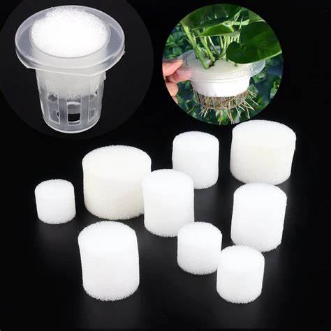 G AND N FORTUNE LIMITED's grow sponges substitute for hydro.