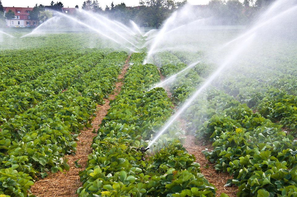 Drip irrigation pipe of G AND N FORTUNE LIMITED, supporting hydroponics.