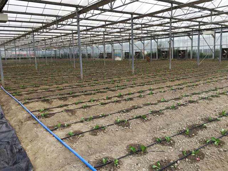 G&N HDPE DR11 pipe meets hydroponic needs.