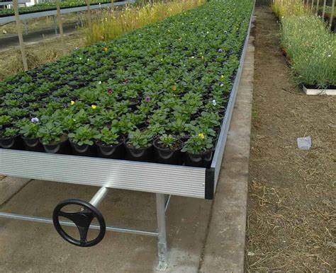 G AND N FORTUNE LIMITED's 1x2 ebb and flow tray for hydro.