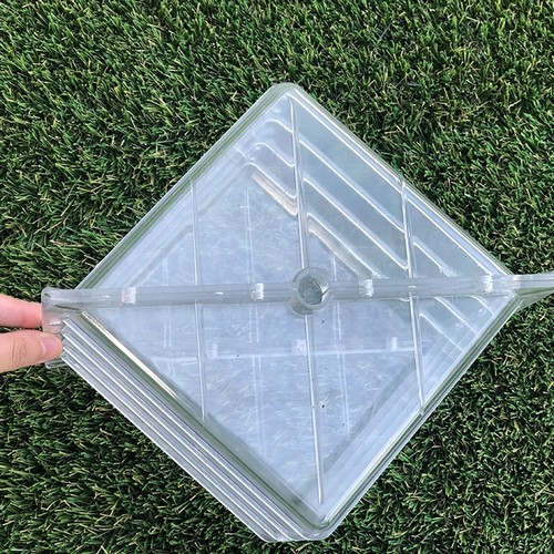 G AND N FORTUNE LIMITED's hydroponic tools for mold on watermelon rind