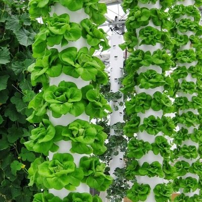 G&N’s hydroponics indoor garden system boosts hydro yields.