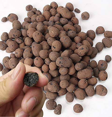 1.G AND N FORTUNE LIMITED: hydroponics store online.