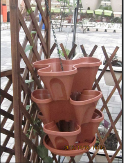 Plastic Flower Pots by G AND N FORTUNE LIMITED are perfect for hydroponic gardening.