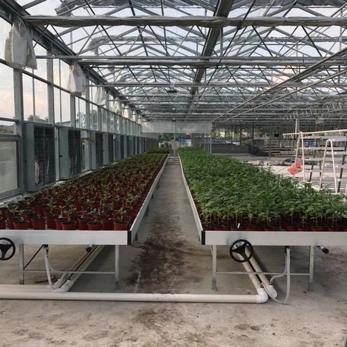 G AND N FORTUNE LIMITED guides homemade ebb and flow tray hydroponic builds.