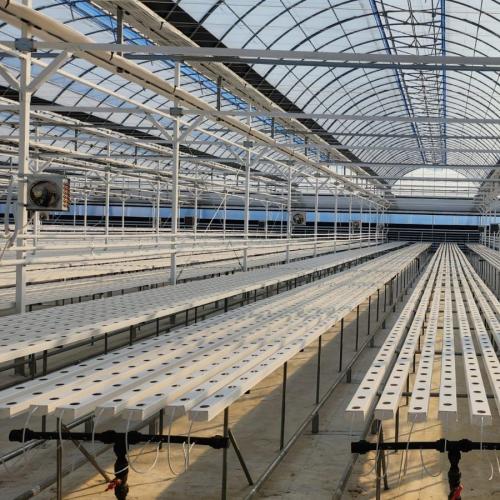 8.Plant hydroponic system from G AND N FORTUNE LIMITED