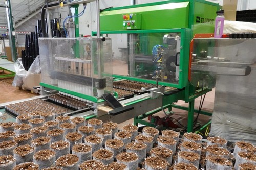 G AND N FORTUNE LIMITED's slit seeder machine for hydroponics.
