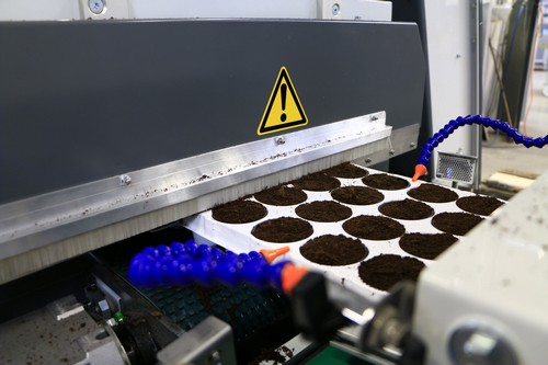 G AND N FORTUNE LIMITED's shelling pumpkin seeds machine for hydroponics.