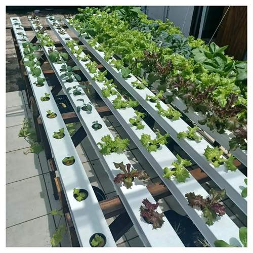 G&N’s complete hydro grow systems support hydro needs.