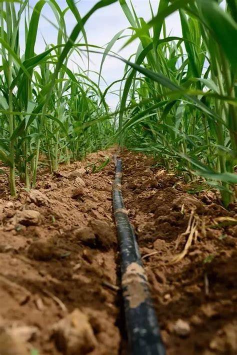 G&N black HDPE pipe for hydroponic style.