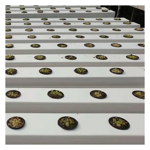 G AND N FORTUNE LIMITED’s large hydroponic systems are perfect for industrial use.