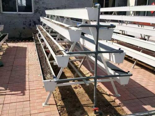 G AND N FORTUNE LIMITED pairs Hydro strawberry with hydroponic systems.