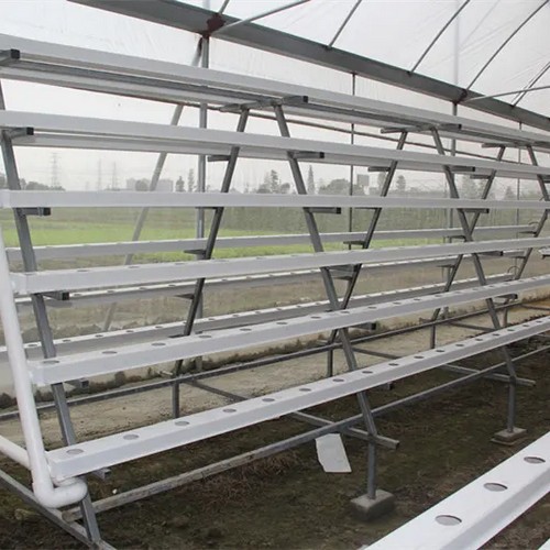11.Affordable hydroponic systems of G AND N FORTUNE LIMITED