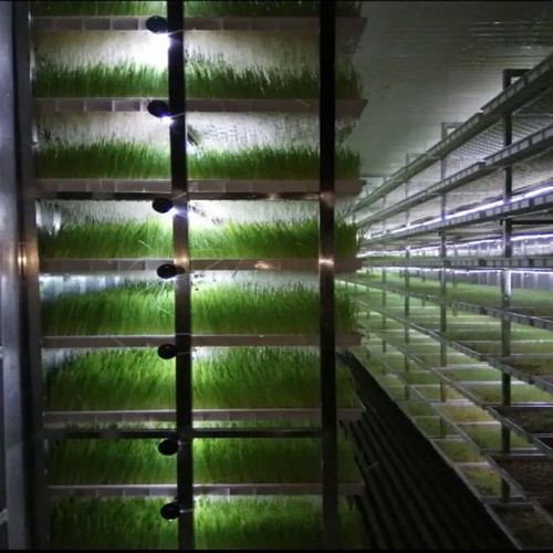 Indoor pot growing systems from G AND N FORTUNE LIMITED: hydro gear.