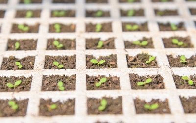 G AND N FORTUNE LIMITED offers reusable seed starting trays for hydroponics.