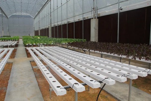 7.G AND N FORTUNE LIMITED's hydroponic grow tent system