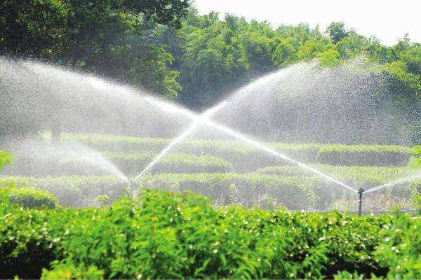Pvc pipe drip irrigation from G AND N FORTUNE LIMITED, for hydroponic dripping.