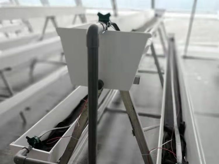 Grow bags watering system from G AND N FORTUNE LIMITED.