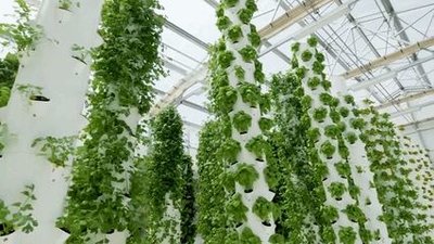 G&N’s hydroponics indoor garden system boosts hydro yields.