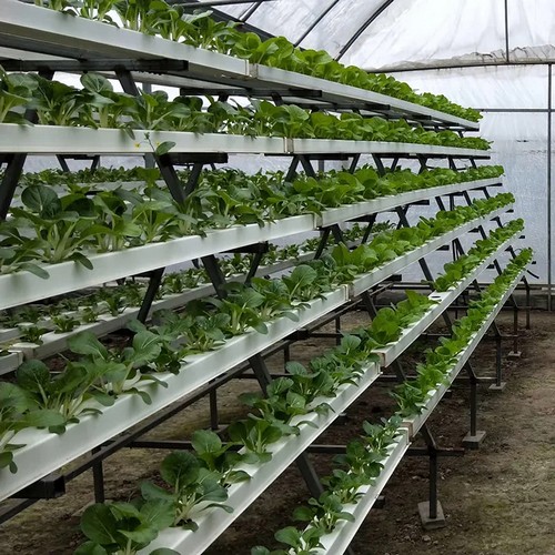 Hydroponics grow systems by G AND N FORTUNE LIMITED for water - related growth.