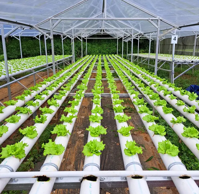 Hydroponics kits and systems by G AND N FORTUNE LIMITED.