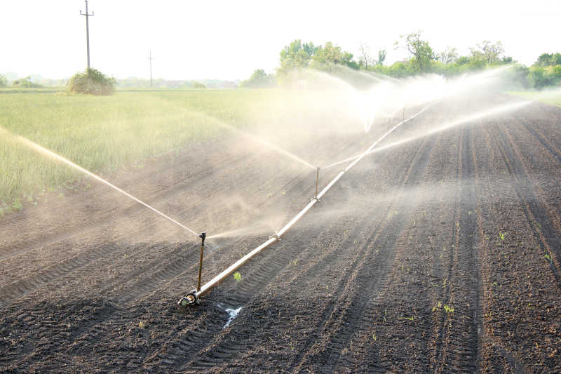Where to buy G&N HDPE pipe for hydroponics.